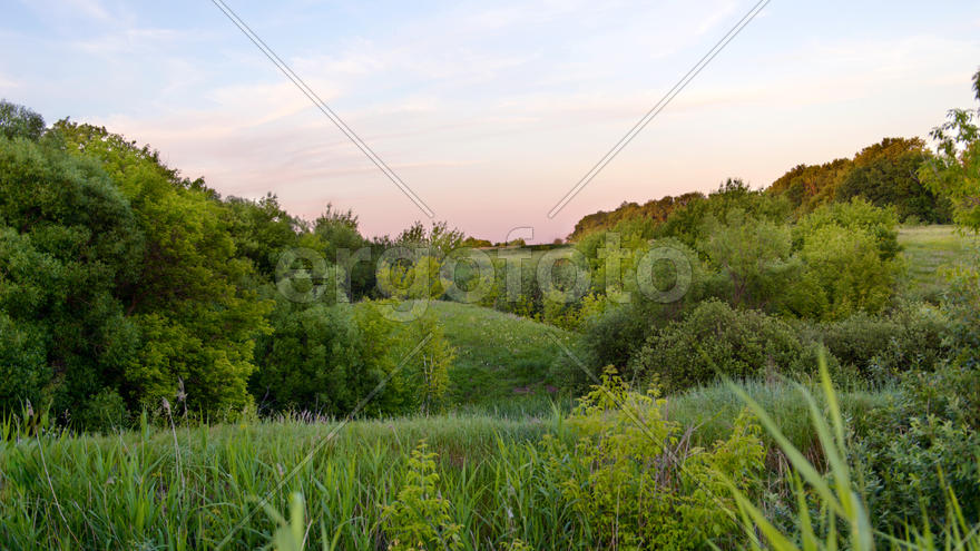 Луг, лесистые холмы и голубое небо