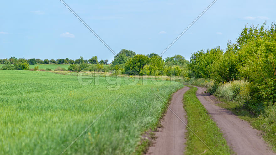 Пейзаж, грунтовая дорога