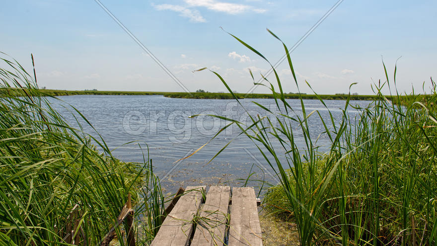 Рыбацкий мостик на пруду