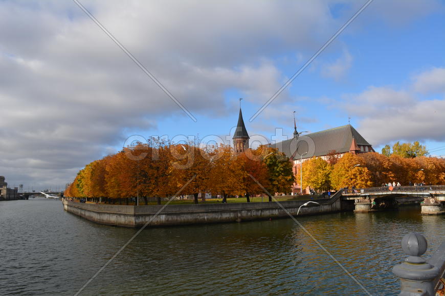 остров Канта