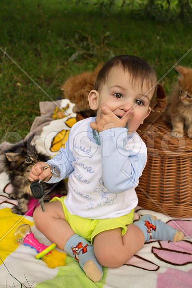 Малыш с котятами