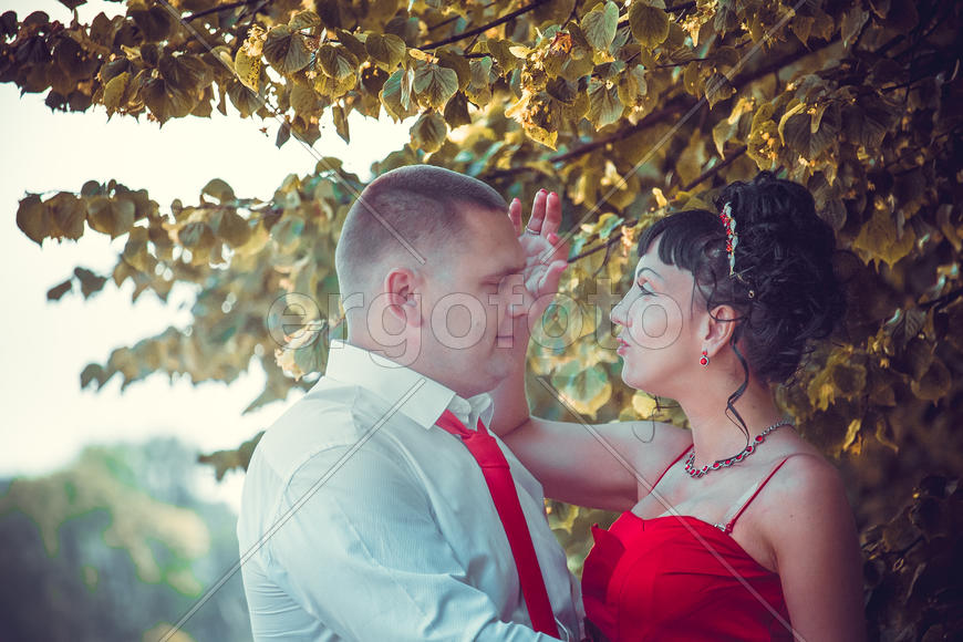 Влюблённые под деревом