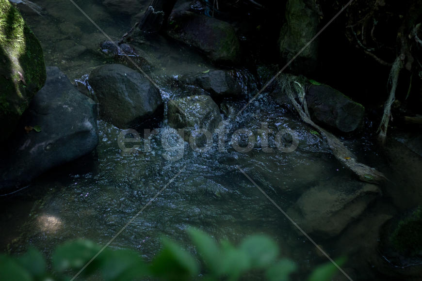 Камни в воде