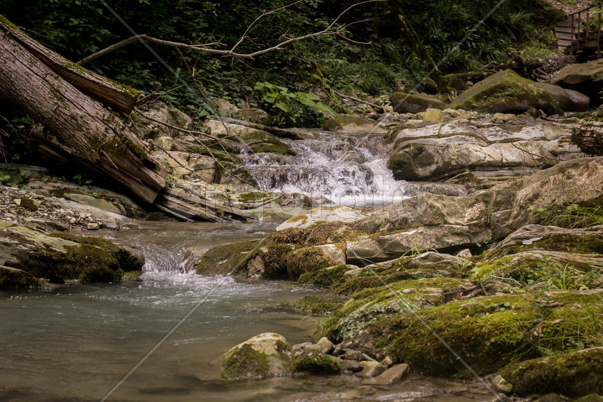 Лесная речка