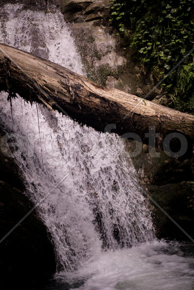 Водопад и дерево