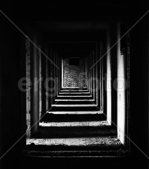 Ритм света и тени