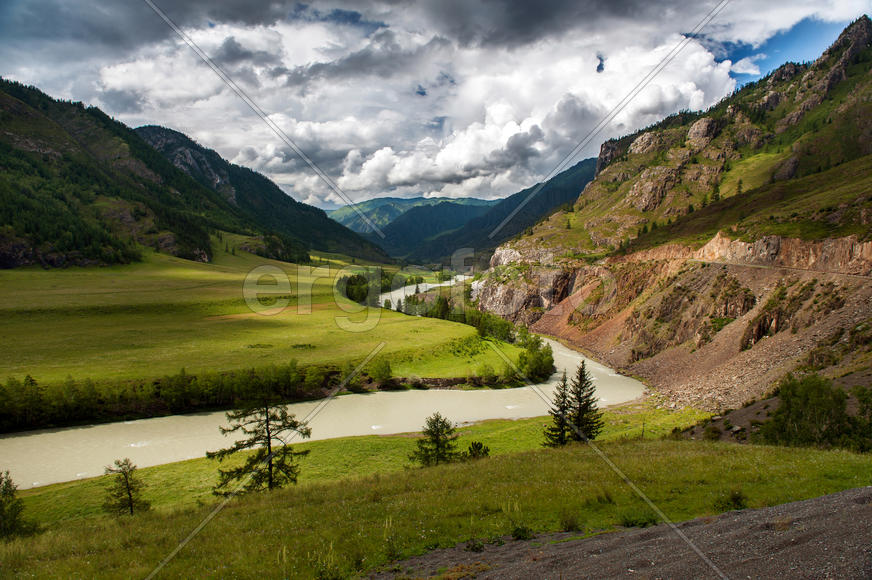 Про то, как Чуя греется на солнышке