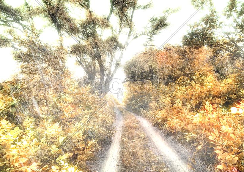 Уходя в осень