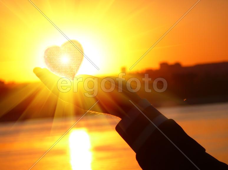 Сердце на ладони