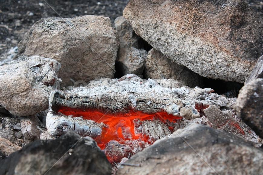 Всё, что осталось