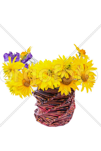 цветы в вазе