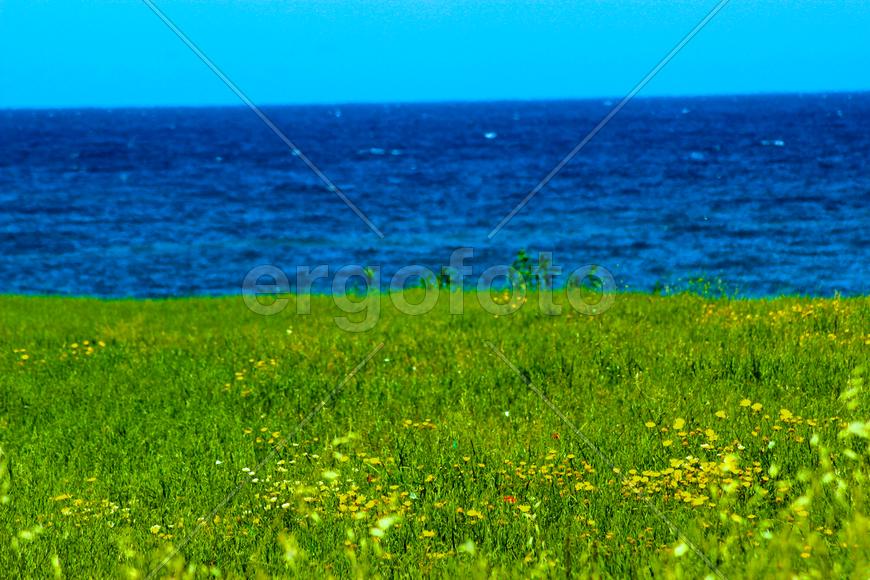 Поля и море Греции