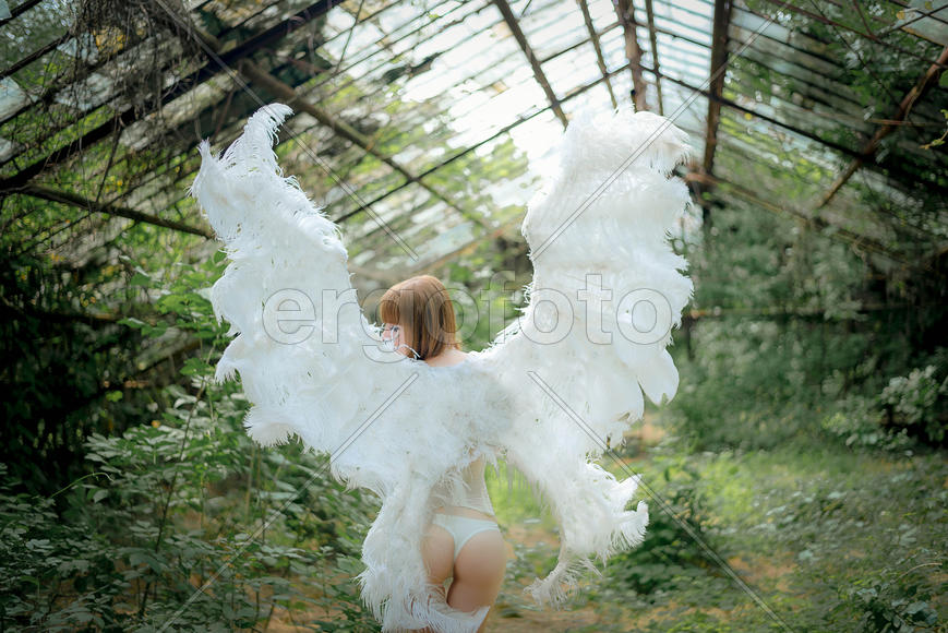 Девушка-ангел