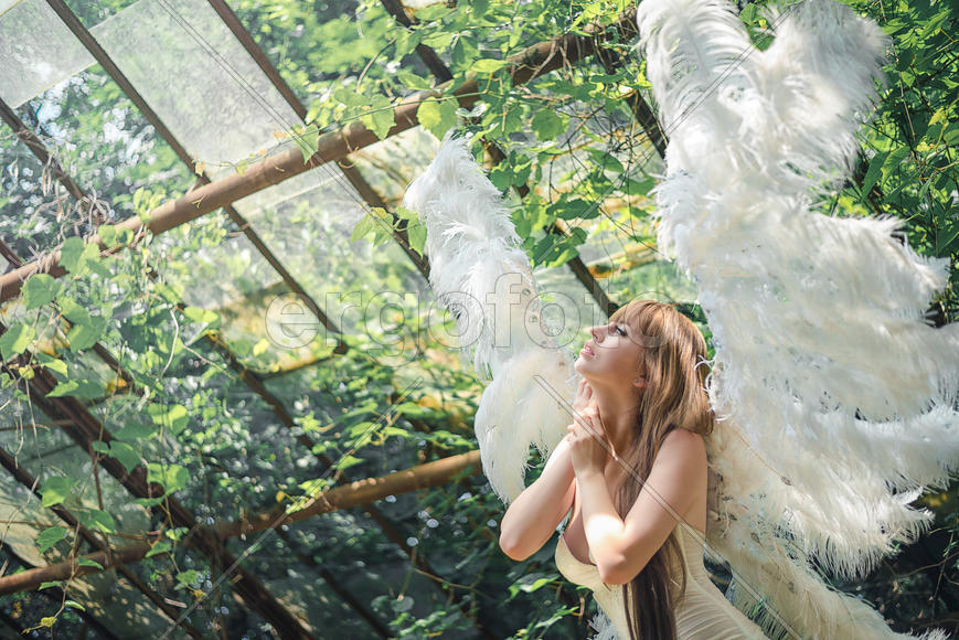 Девушка-ангел