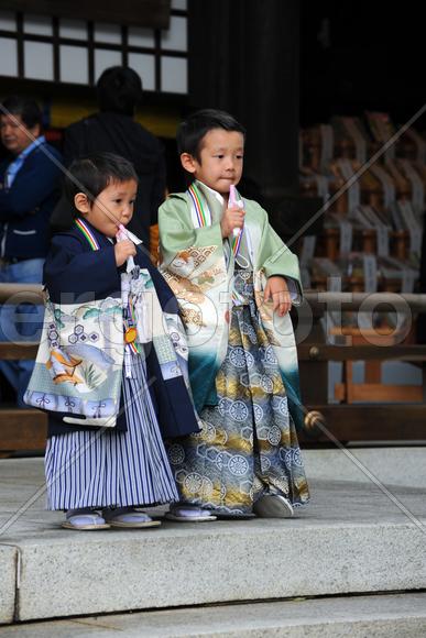 Юные самураи