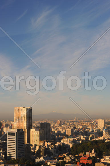 Токио ранним утром