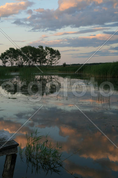 Отражение на воде