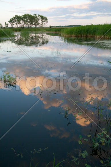Отражение на воде