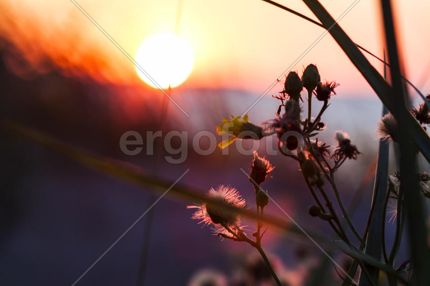 Красивый закат