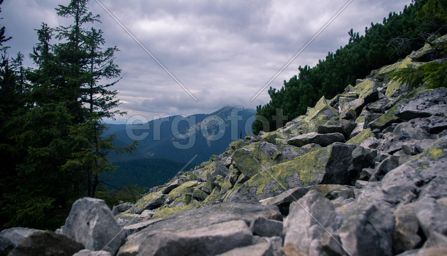 Горная тропа