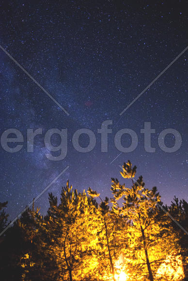 Млечный путь у костра