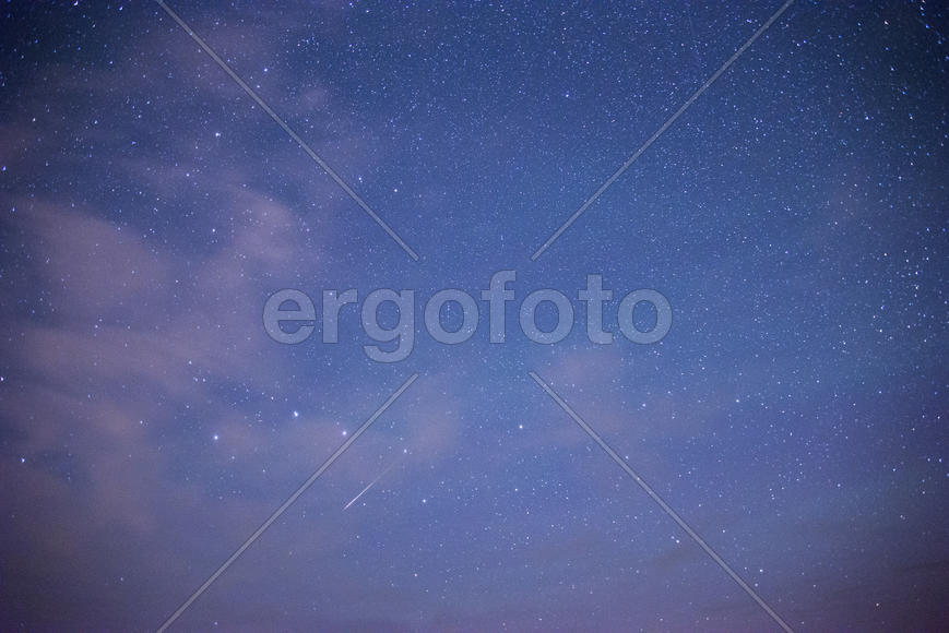 Большая Медведица