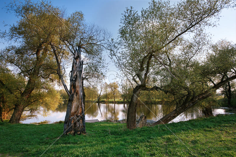 Майский пейзаж