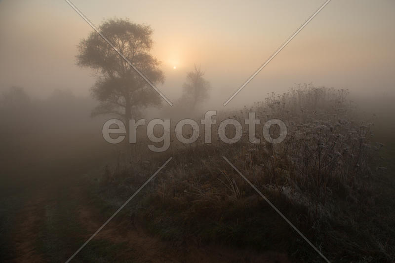 Осенний туман