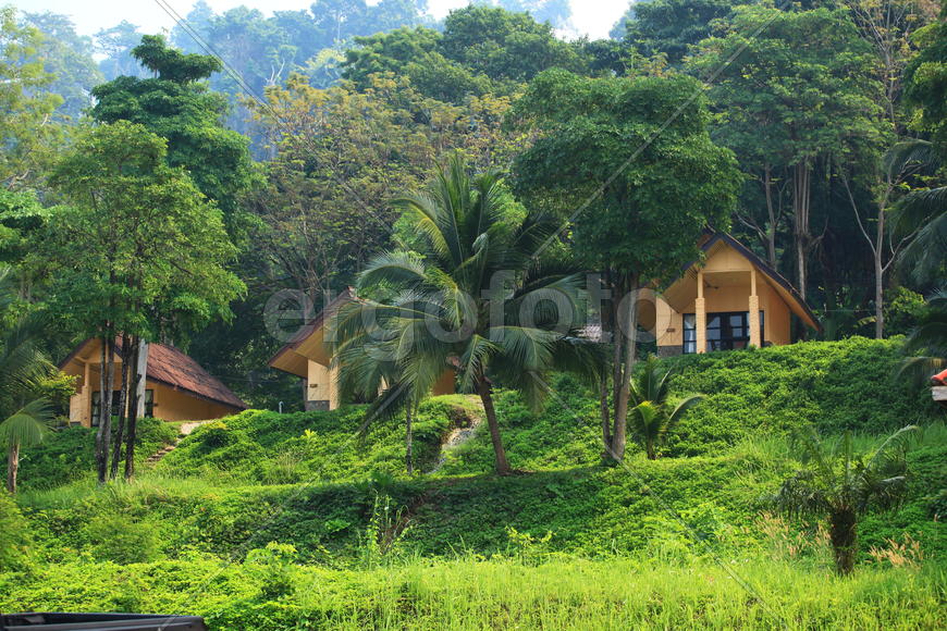 Дома в тропиках