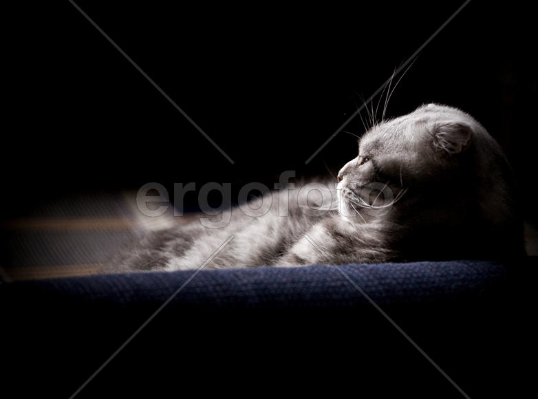 Погружение в себя