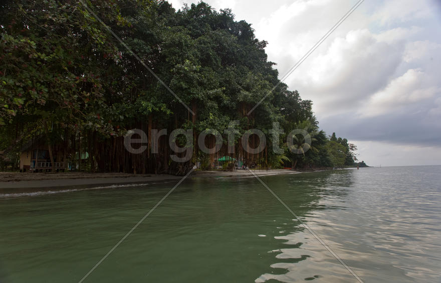 Утренняя панорама