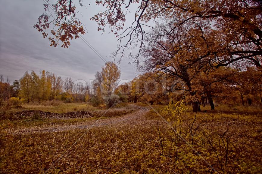 Осенний пейзаж