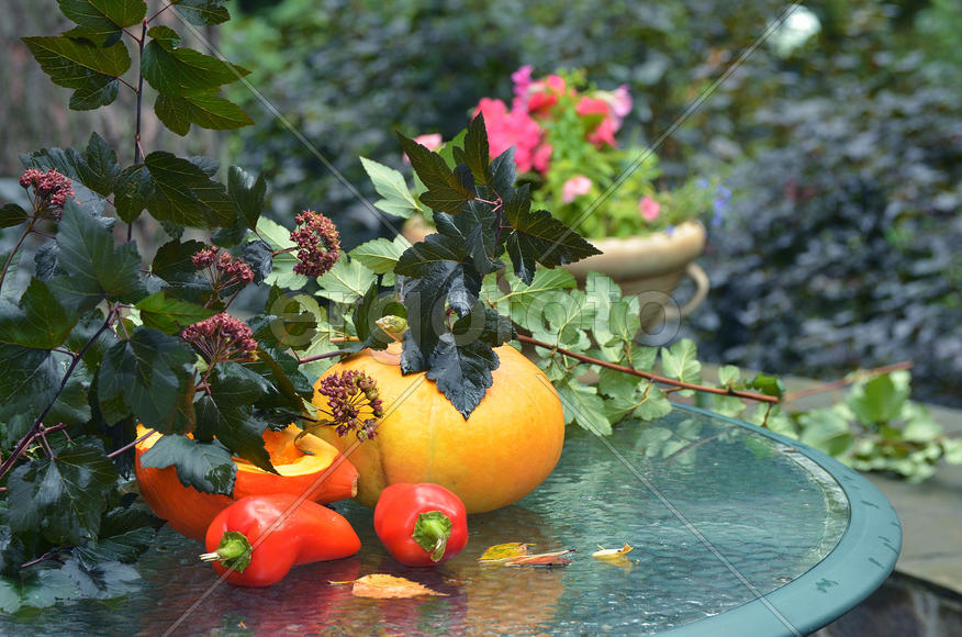 Натюрморт с тыквой