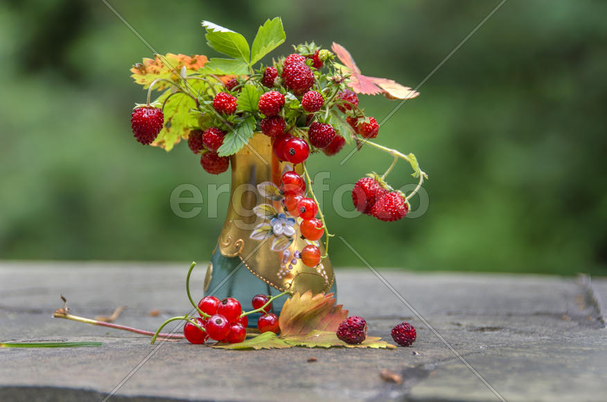 Земляника и смородина