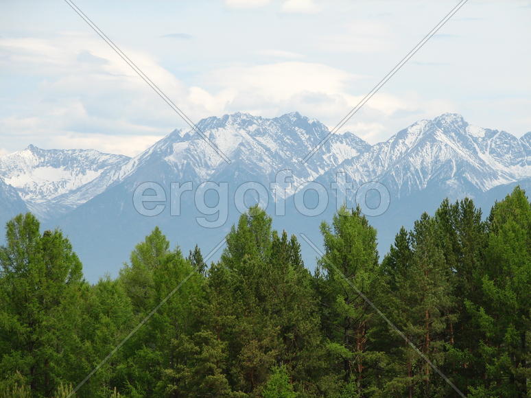 Зелёный лес и горы