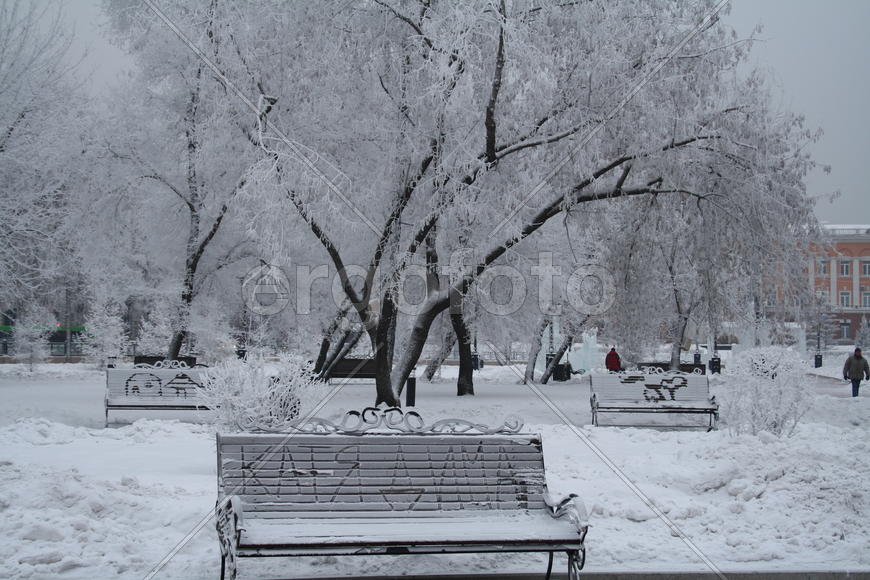 зимний сквер