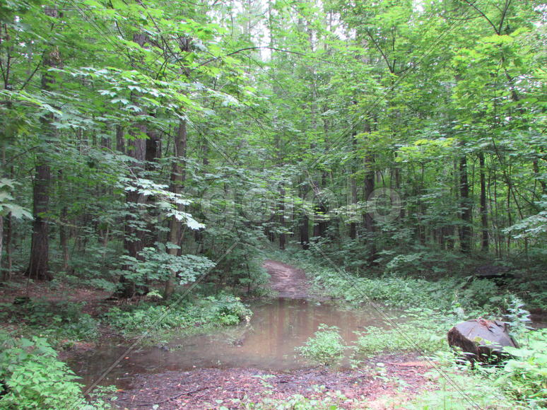 Лето. Царицыно