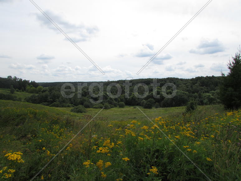 Прогулка в Царицыно