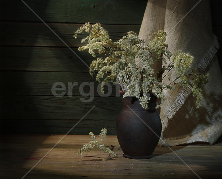 Осень в чулане