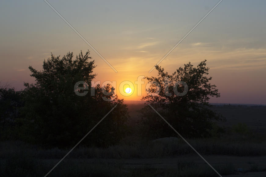 Солнце между деревьями