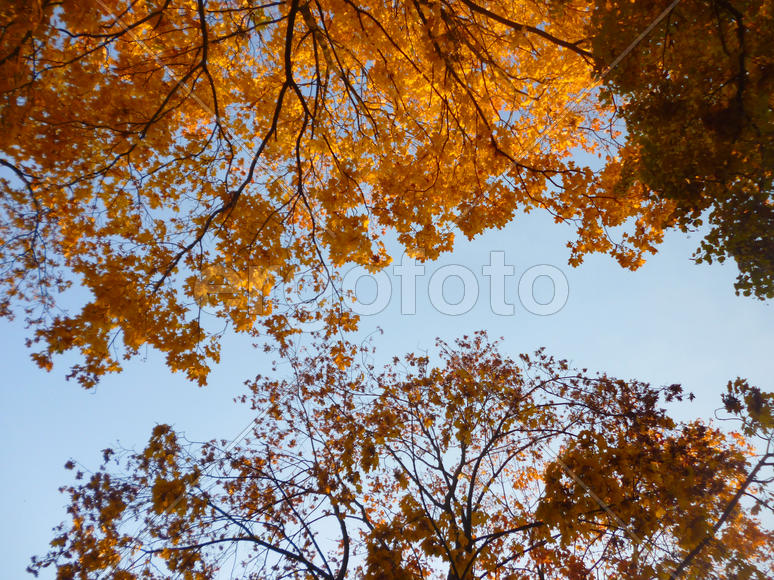 Осеннее небо