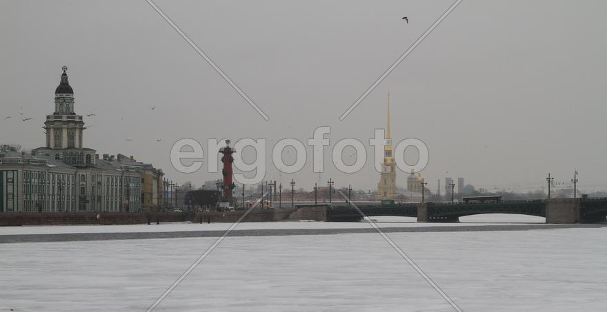 Академия наук в Санкт-Перетбурге