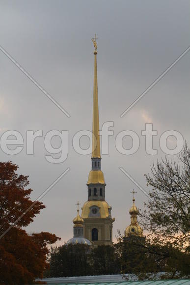 Шпиль Петропавловского собора