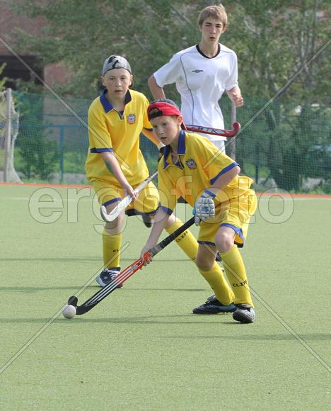 Сопереживание