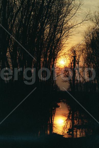 Закат в лесу