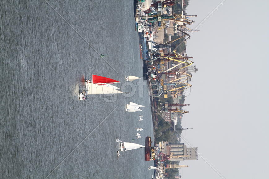 Яхты в море