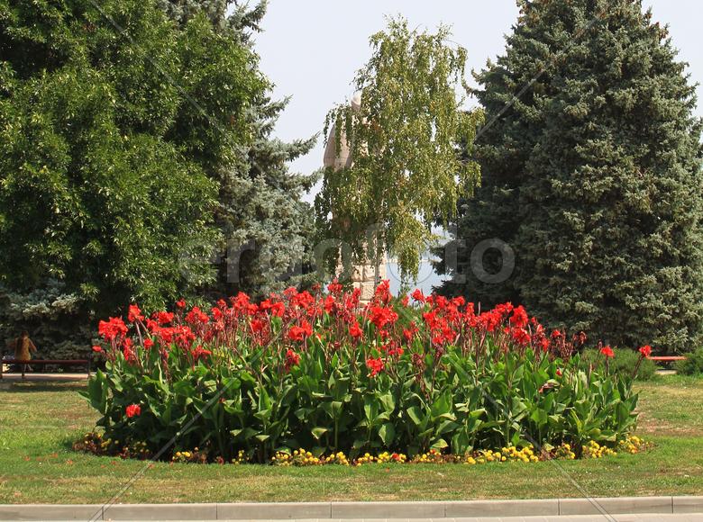 Клумба в городском парке 