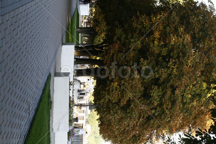 Улицы города ранней осенью 