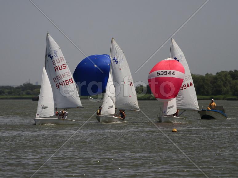 Яхты на море 