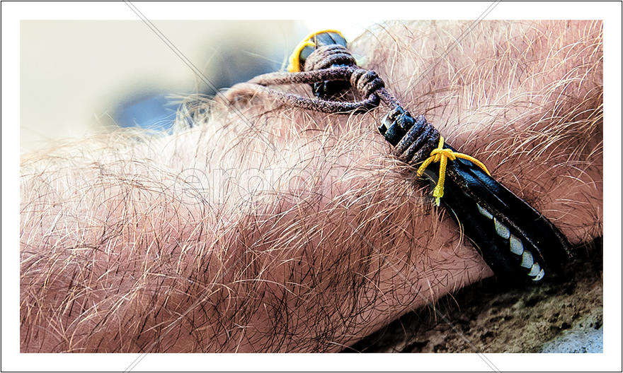 гармоничность